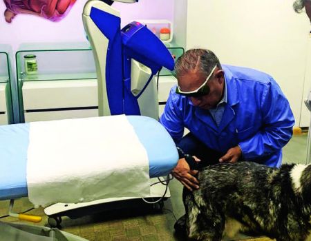 El medico deportivo altruista que trata a perros con cáncer en Bolivia