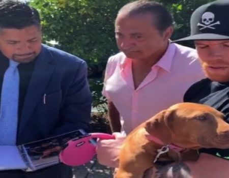 'Gracias por el perro', dice Canelo Álvarez y le responden, '¿cuál gracias? son 150 mil dólares'